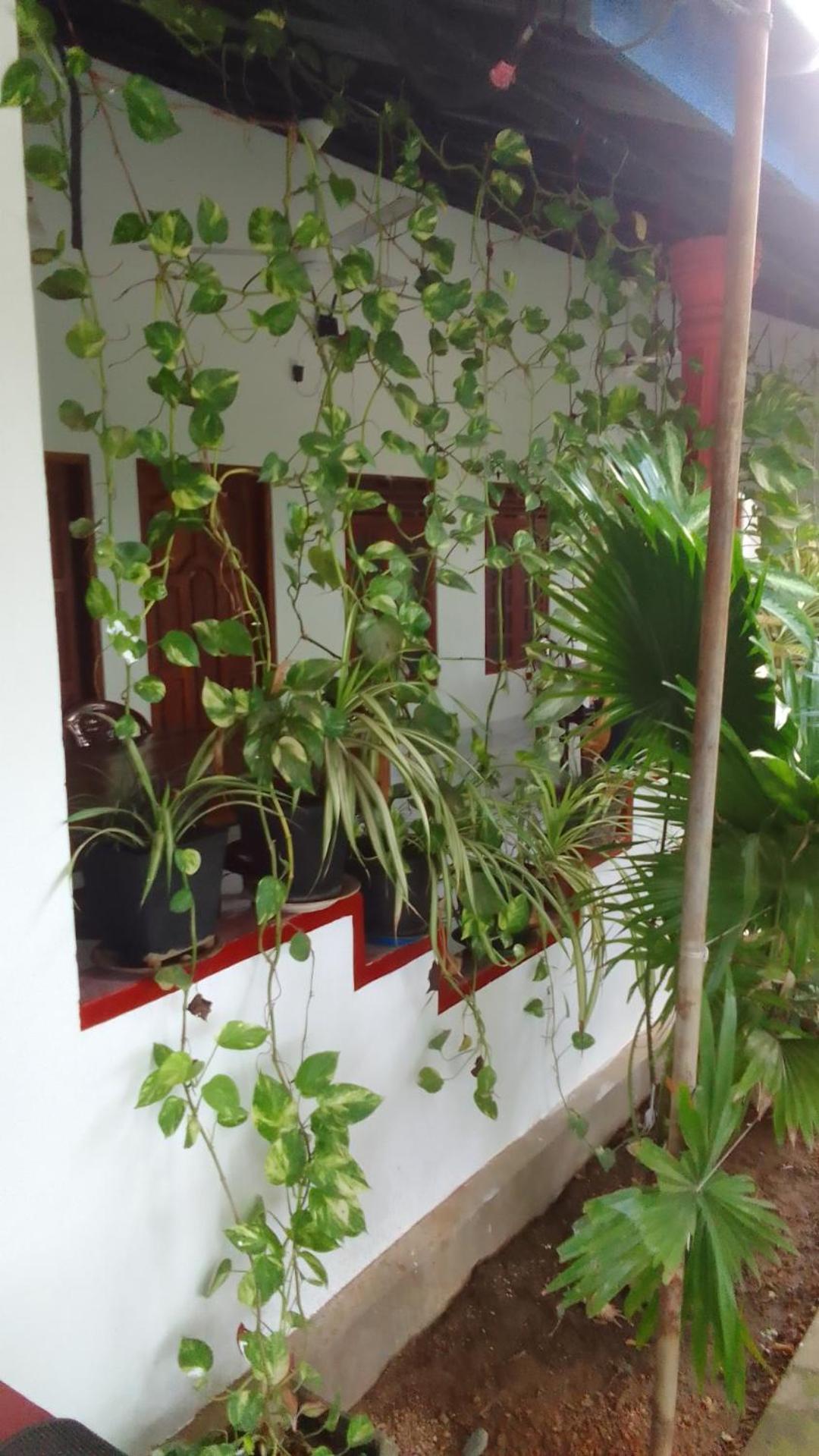 Apartamento Pranu House Nilaveli Exterior foto
